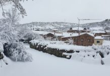 Nevada Brañosera 2024 marzo