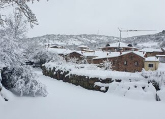 Nevada Brañosera 2024 marzo