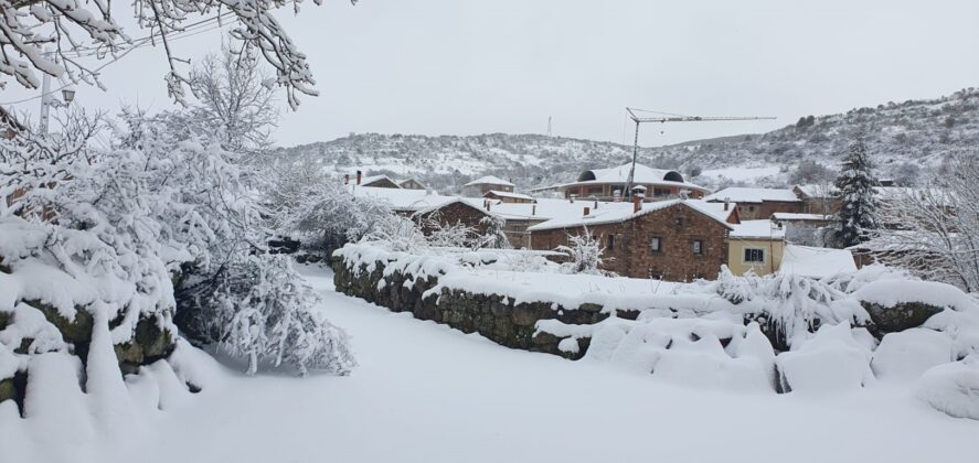 Nevada Bra&ntilde;osera 2024 marzo