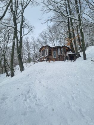 Nevada Bra&ntilde;osera 2024 marzo