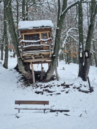 Nevada Bra&ntilde;osera 2024 marzo