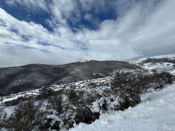 Nevada Bra&ntilde;osera 2024 marzo