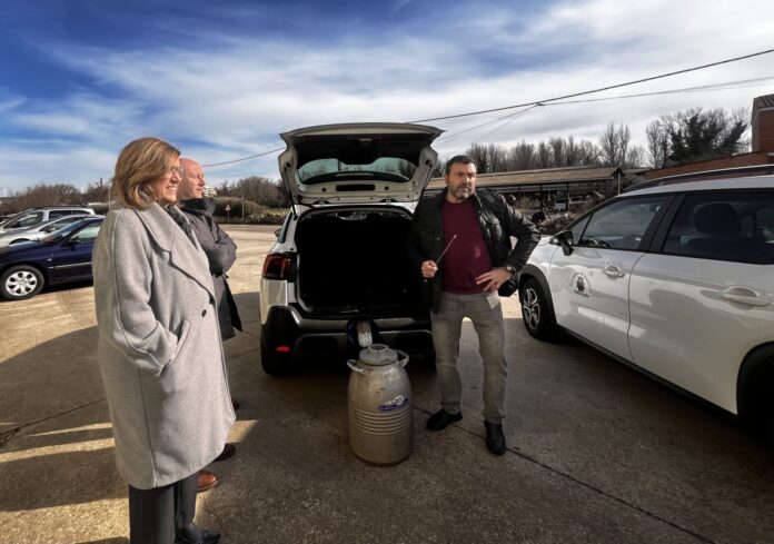 Servicio Ineminación Artificial 1