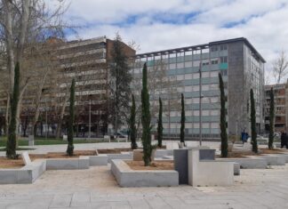 Cipreses (y más) para Los Jardinillos de Palencia