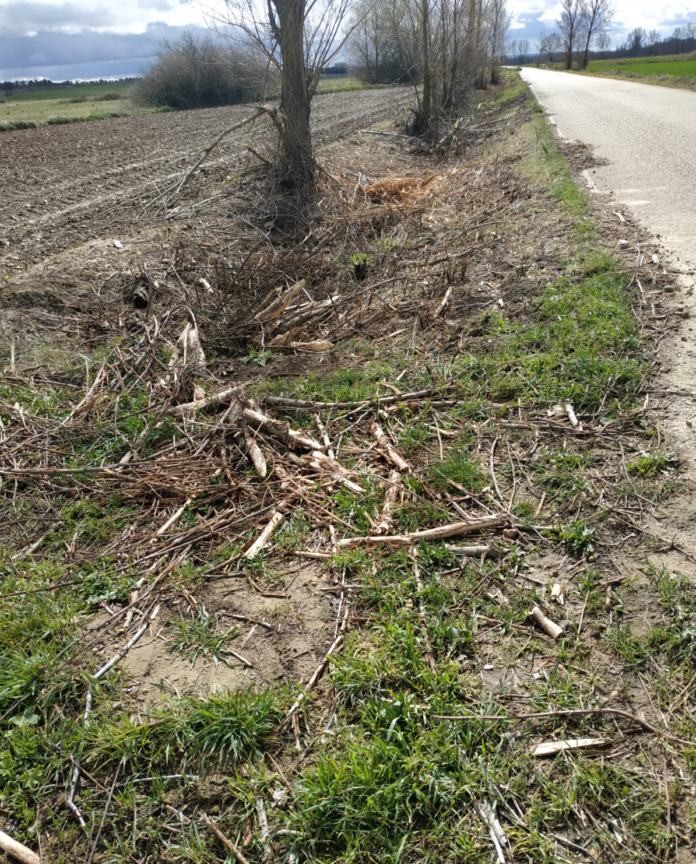 Camino rural Villoldo-Manquillos / EA