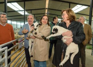 La Feria Churra lucha por conservar y dar valor a su raza La alcaldesa de Palencia, Miriam Andrés y la presidenta de la Diputación, Ángeles Armisén, sostienen un ejemplar de oveja churra / Diputación de Palencia
