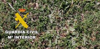 proyectil-guerra-civil-hallado-en-barruelo-de-santullán