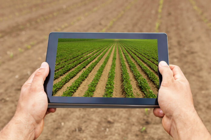 Smart agriculture. Farmer using tablet Soy planting. Modern Agri Agricultura 4.0