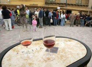 La DO Cigales califica en Palencia la añada de 2023 como “excelente”