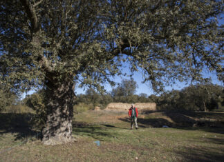 El Día de los Montes de Palencia se celebra en Saldaña con 150 euros de premio