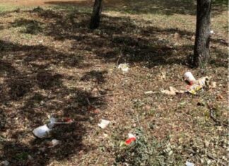 Vox Palencia reclama al Ayuntamiento que actúe de forma urgente en El Monte el Viejo