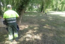 El olor ‘a bodega’ del Ribera Sur tras la ITA Palencia