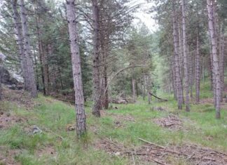 Adjudicadas las obras de tres circuitos de trail de descenso MTB y señalización de senderos en el entorno de Guardo y Velilla