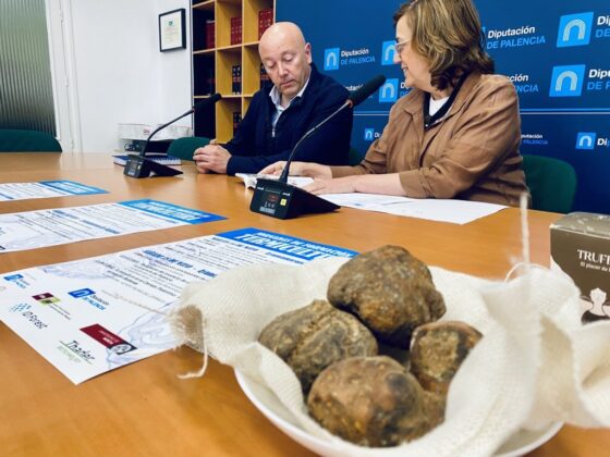 Jornadas de Formaci&oacute;n en Turmicultura