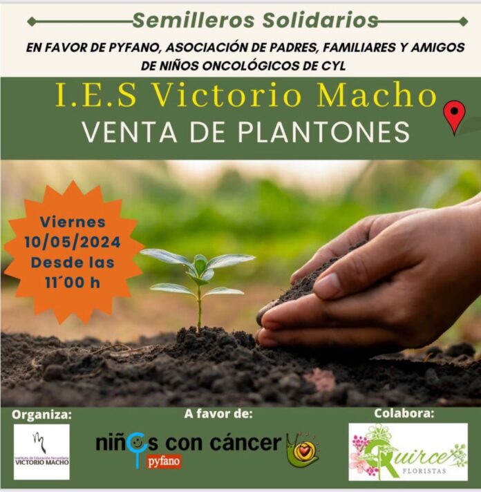 Venta de Plantones