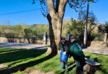 programa mixto jardines saldaña