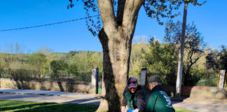 programa mixto jardines saldaña