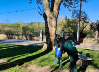 programa mixto jardines saldaña