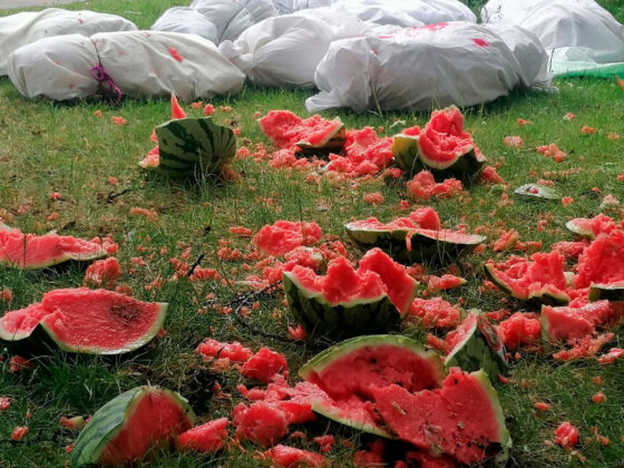 protestas-frente-a-la-f&aacute;brica-de-armas
