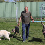 Centro canino Can-poo que funciona como guardería para que los dueños dejen a sus mascotas alojadas mientras se van de vacaciones, en la imagen el dueño del centro, Miguel Ángel Barcenilla, con alguno perros alojados en el centro