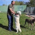 Alojamento para mascotas en vacaciones