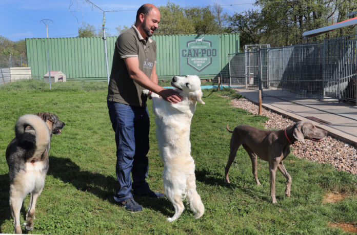 Centro canino Can-poo que funciona como guardería para que los dueños dejen a sus mascotas alojadas mientras se van de vacaciones, en la imagen el dueño del centro, Miguel Ángel Barcenilla, con alguno perros alojados en el centro./ Brágimo (ICAL)
