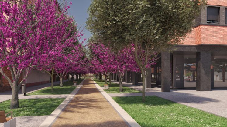 Proyecto de remodelaci&oacute;n en el barrio de Pan y Guindas