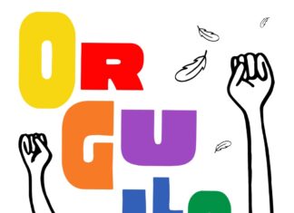 Programa del Orgullo LGTBI+ 2024 en Palencia Cartel Orgullo Palencia 2024