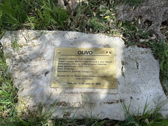 Acto de conmemoraci&oacute;n del 25 aniversario del Olivo de la Paz