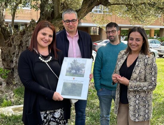 Acto de conmemoraci&oacute;n del 25 aniversario del Olivo de la Paz