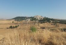 Imagen de archivo de Palencia