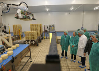 Los quesos palentinos de Mercadona que triunfan en el International Cheese and Dairy Awards