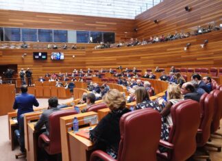 Vista del hemiciclo de las Cortes de Castilla y León. / ICAL