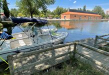 Vuelven las barcas a la Dársena Barcas turísticas en la Dársena del Canal 2024