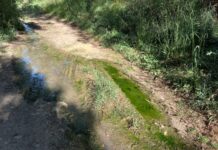 Vertido en el Monte el Viejo