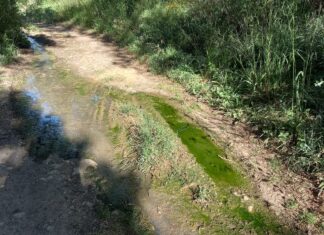 Ecologistas en Acción denuncia un vertido de aguas residuales en el Monte El Viejo Vertido en el Monte el Viejo