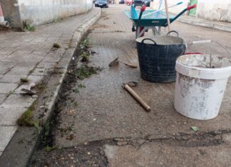 Vecinos de Buenavista de Valdavia limpian sus calles Buenavista de la Valdavia. Los vecinos recogen y arreglan sus calles ante la dejadez del ayuntamiento