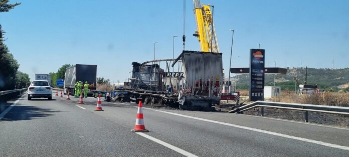 WhatsApp Image 2024-07-24 at 13.09.00