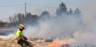 incendio en Palencia, en el camino de San Román, el 31 de julio de 2024 - Brágimo ICAL