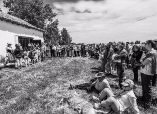 Marcilla de Campos. Día del vino y el ovino