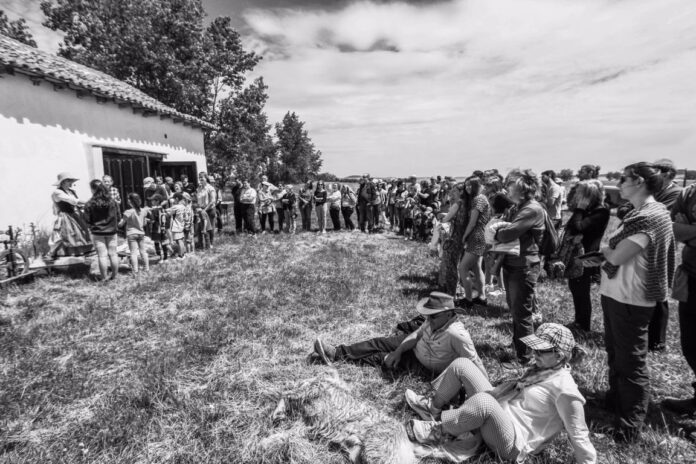 Marcilla de Campos. Día del vino y el ovino