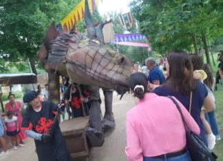 Programa del Mercado de Época de Palencia