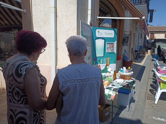 Carri&oacute;n de los Condes