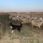 (FILEminimizer) _04MAX202408659153