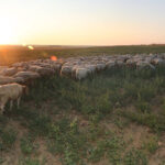 (FILEminimizer) _04MAX202408659154