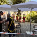 Tala de la rama del árbol en la Plaza Mayor