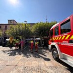 Tala de la rama del árbol en la Plaza Mayor