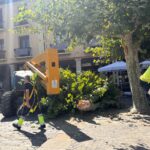 Tala de la rama del árbol en la Plaza Mayor