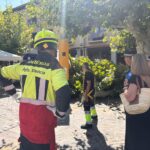 Tala de la rama del árbol en la Plaza Mayor