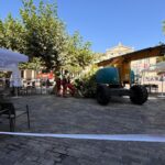 Tala de la rama del árbol en la Plaza Mayor